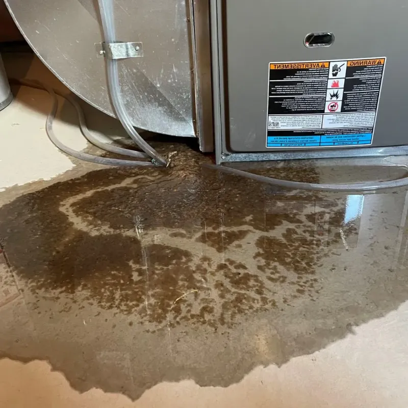 Pipe Burst and Leak Restoration in West Feliciana Parish, LA